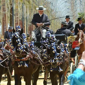 Vida En Centro De Jerez Jerez de la Frontera